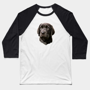 Labrador Retriever Black Puppy Dog Baseball T-Shirt